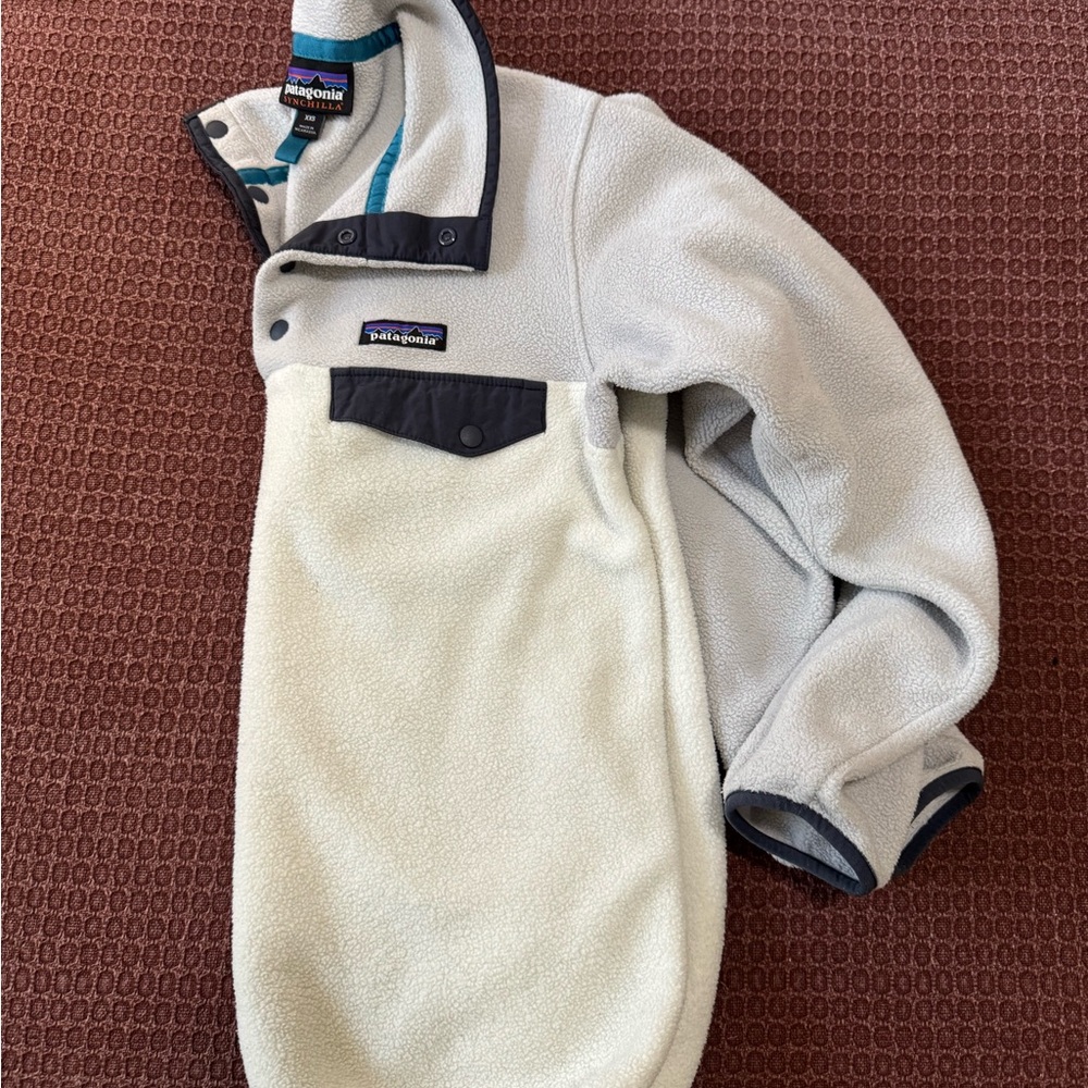 Patagonia Synchilla Fleece Pullover